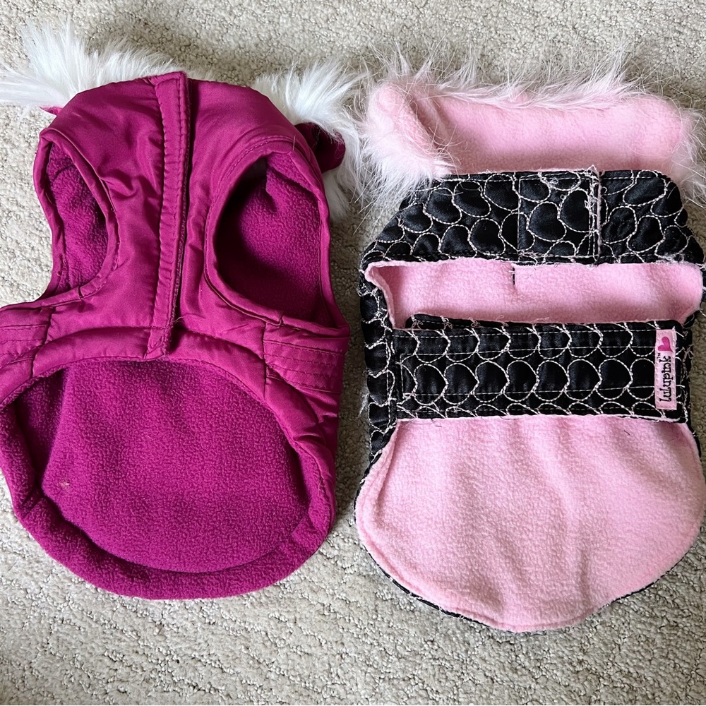XS Dog Jackets - Picture 5 of 7
